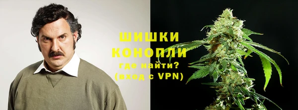 ECSTASY Магас