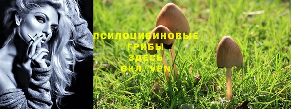 MDMA Медвежьегорск