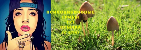 MDMA Медвежьегорск